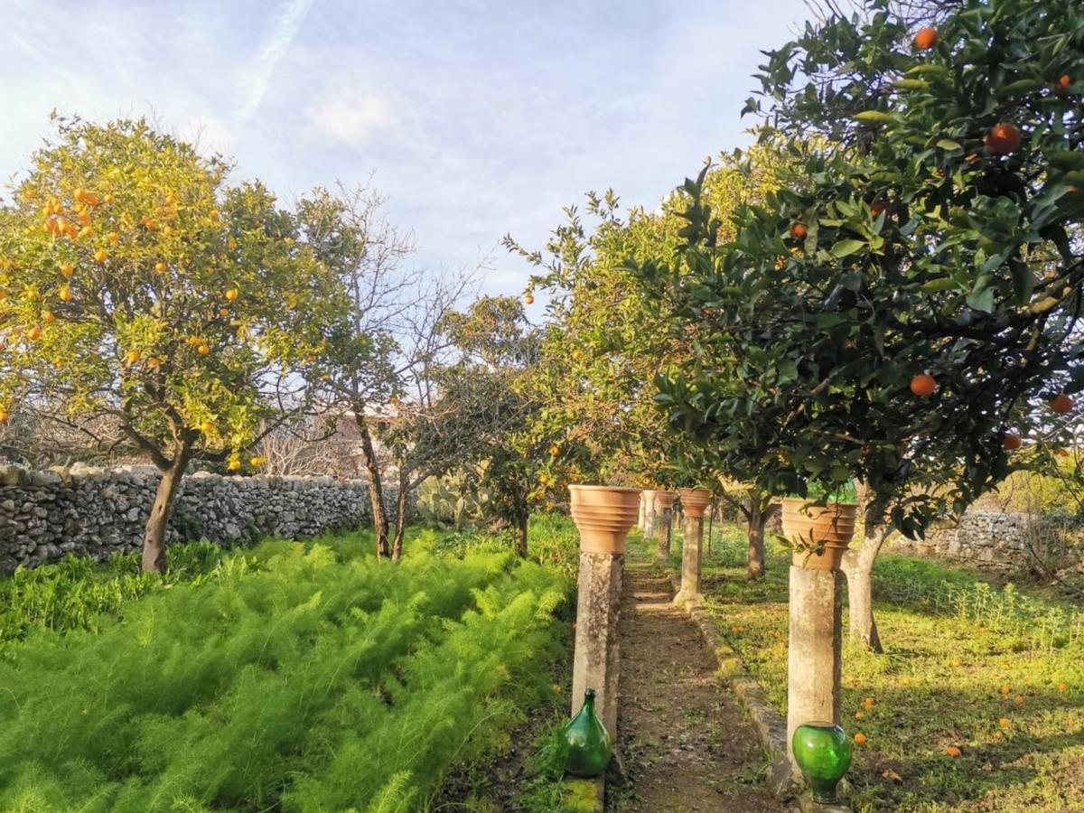 Dimora Margherita In Salento Struda Exteriér fotografie